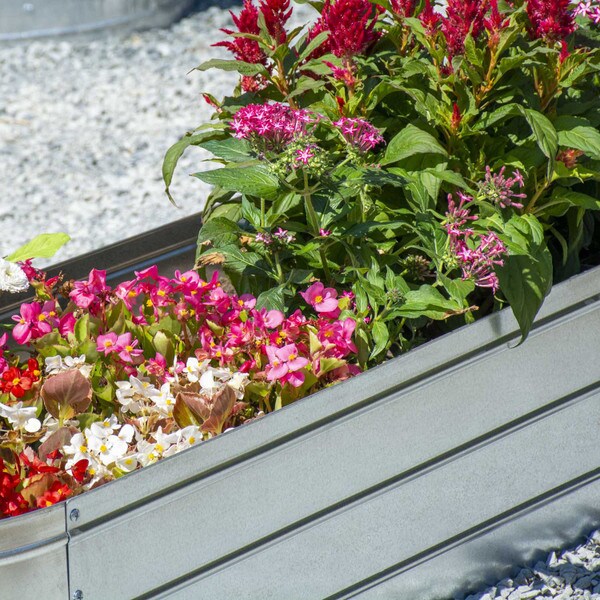 Galvanized Steel Raised Garden Bed